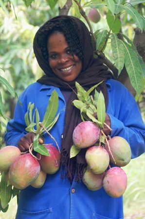 african mango 199x300 African Mango Secrets to Quick & Easy Weight ...